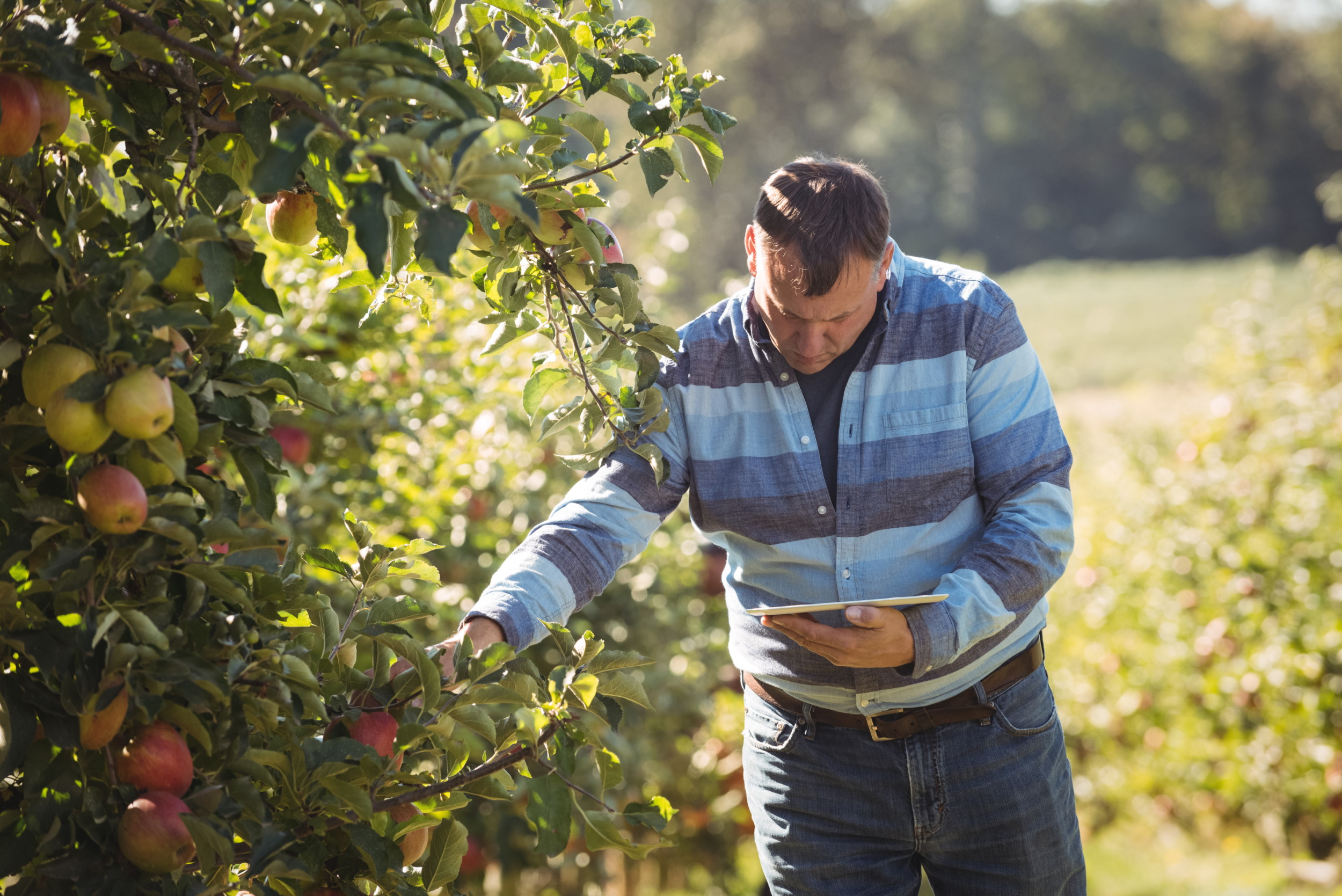 2022 Open Day of the Fruit center Maribor Technologies available for fruit producers