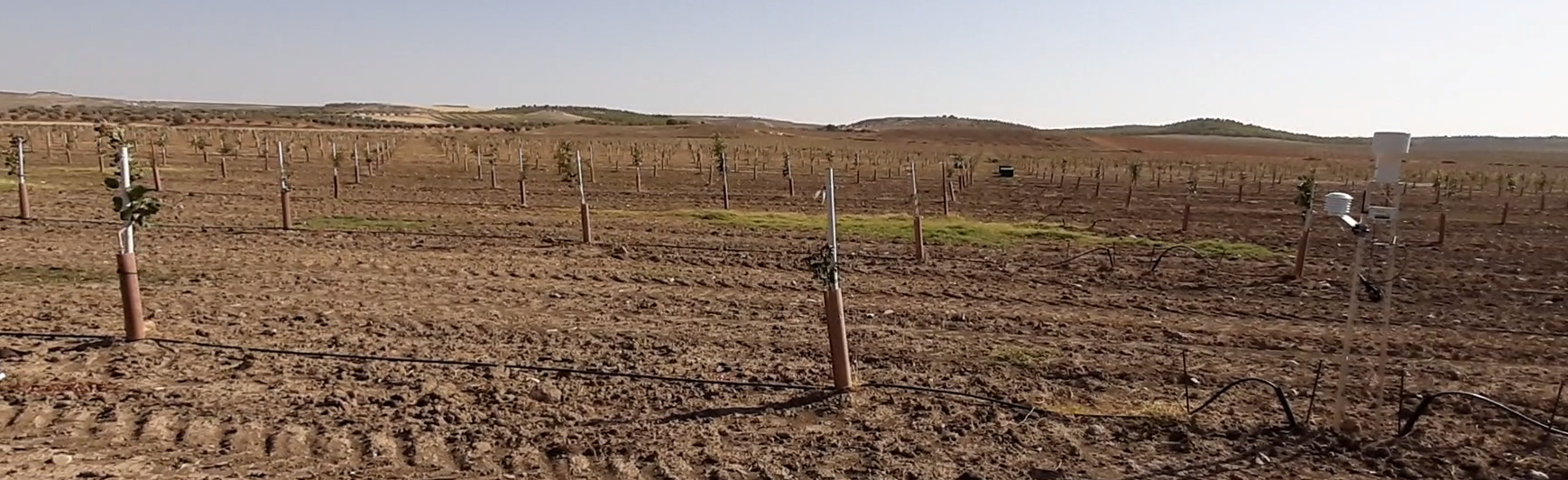Precise irrigation scheduling